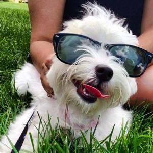 Meet your Posher, Ernest